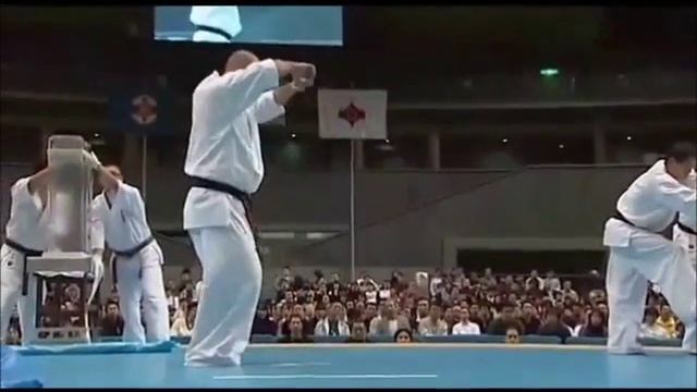 Kyokushin Karate Kata : Bassai