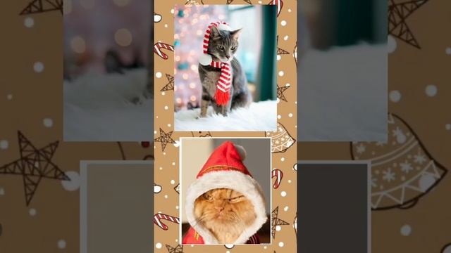 Выбирашки ? Выбиралки ? Выбери себе подарок ? смотреть онлайн