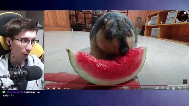 Клип Заботливый Женя. смотреть онлайн