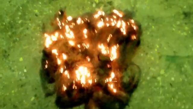 Горение стальной губки смотреть онлайн