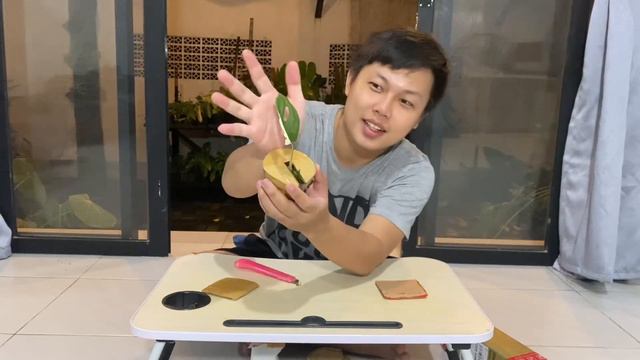 Unboxing Tanaman Monstera Adansonii Varigata White Japan, Dapet Murah 100rb-an смотреть онлайн