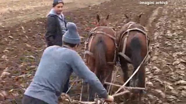 Ion Dumitru Agricultura 30 Iunie 2011