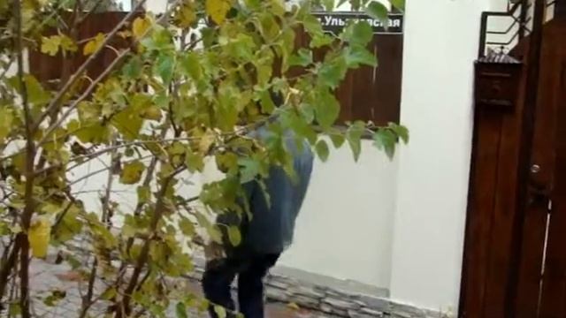 Алкаш в Геленджике.wmv смотреть онлайн