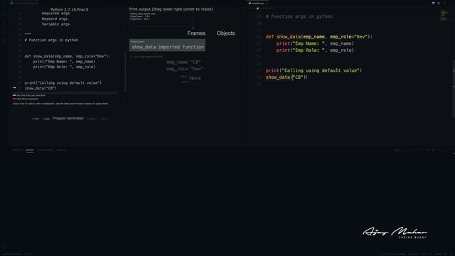 Boost Your Python Skills: Dive into Function Basics and Argument Types смотреть онлайн