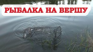 Рыбалка на морду вершу будет ли рыба ? КОПТИМ ОКУНЯ НА КИЛО 100