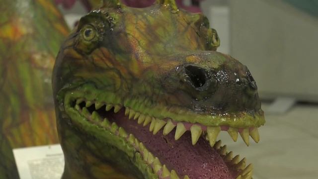 В Гомеле работает выставка «Тайны древнего океана» смотреть онлайн