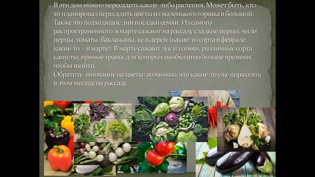 Благоприятные дни марта 2023 года для рассады/пересадки растений смотреть онлайн