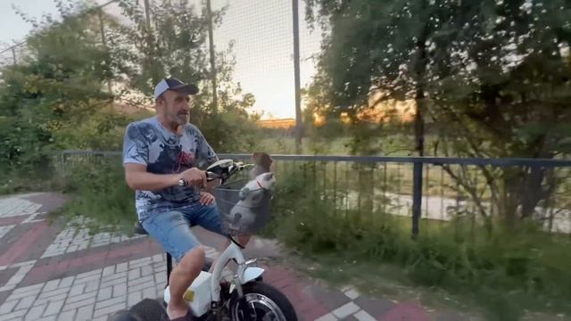 Люся РЕВНУЕТ и КОНТРОЛИРУЕТ любимого Басика и не хочет, чтобы его снимали посетители парка))) смотреть онлайн