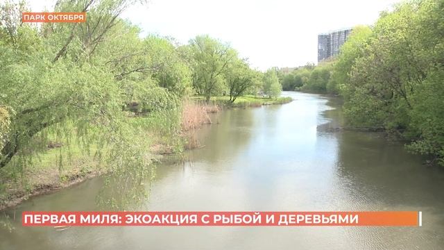 Акцию "Непрерывный экологический парк "Первая миля" устроили сегодня у Темерника смотреть онлайн