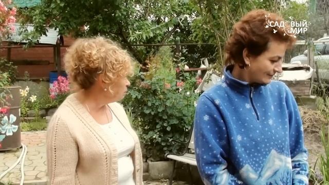 Зимостойкие садовые растения. Сайт "Садовый мир" смотреть онлайн