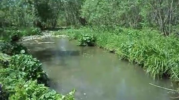 Река Изырак