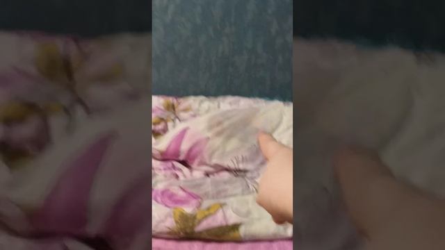 где пробралась вчера или позавчера сельская леди и тек-тек рассказывает историю смотреть онлайн