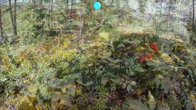 Два хребта, восемь рек, три дороги... или "Крутится, вертится шар голубой". Клип-превью 2023 год смотреть онлайн