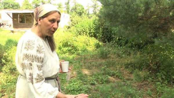 Кедровая тропа.mp4