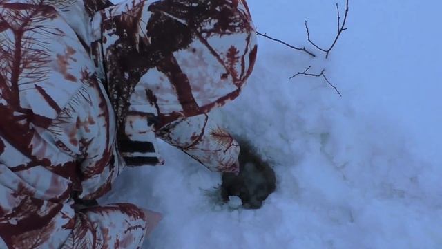 Закрыл сезон рыбалки по по налимам / На рыбалке в - 37 / ( #серия6 ) смотреть онлайн