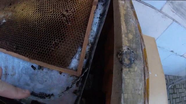 Как перетопить старые соты?Солнечная воскотопка из подручных материалов. Beekeeping for beginners.. смотреть онлайн