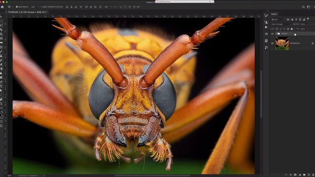 One Click Sharpening with Photoshop Action Pack смотреть онлайн