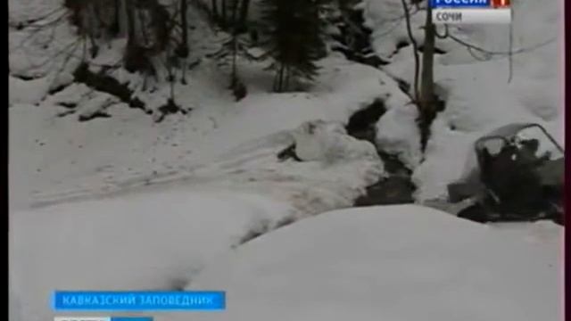 23 янв. 2014 г. Сафари на снегоходах