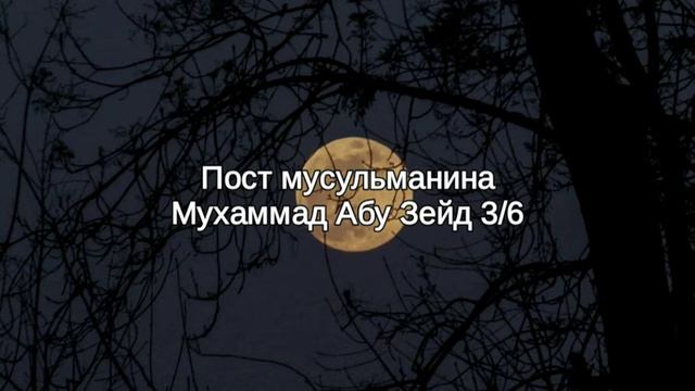 3. Пост мусульманина - Мухаммад Абу Зейд смотреть онлайн