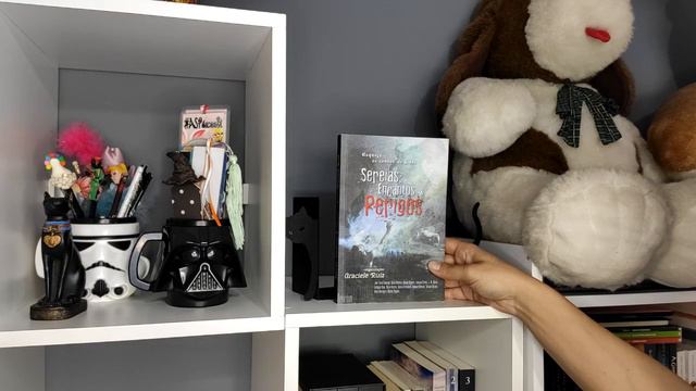 BookShelf Tour 2021 (Aniversário do Canal 5 anos) смотреть онлайн