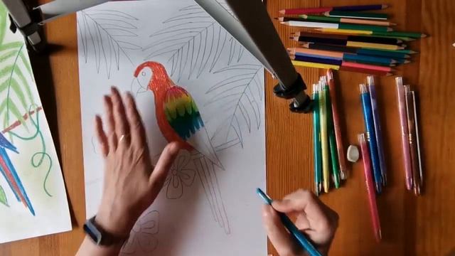 Мир птиц ? смотреть онлайн