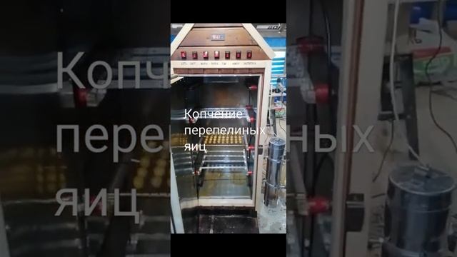 Копчёные перепелиные яйца смотреть онлайн