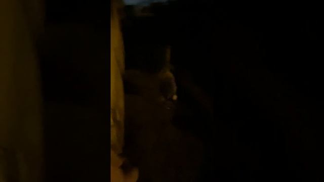 Возвращение серого гуся смотреть онлайн