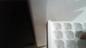 Дафния корм для рыб как я её замараживаю