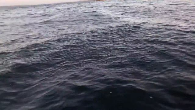 тест электромотора Watersnike 34 1 часть смотреть онлайн