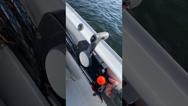 Suzuki Df60 starting problems смотреть онлайн