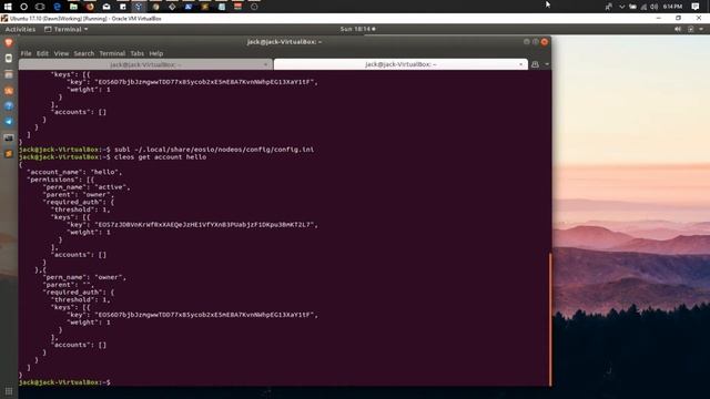 Using EOS with JavaScript RPC Calls смотреть онлайн
