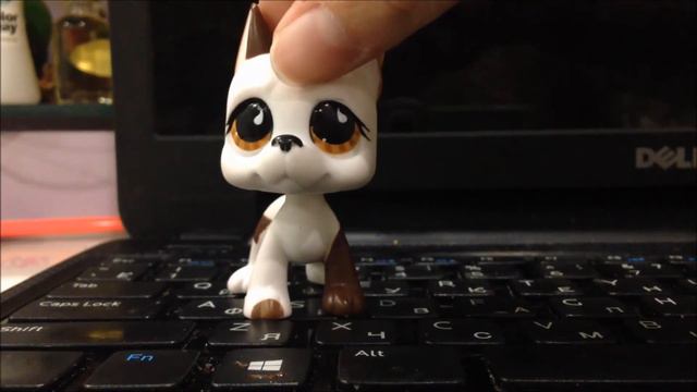 День добрый,господа.Я ожил..