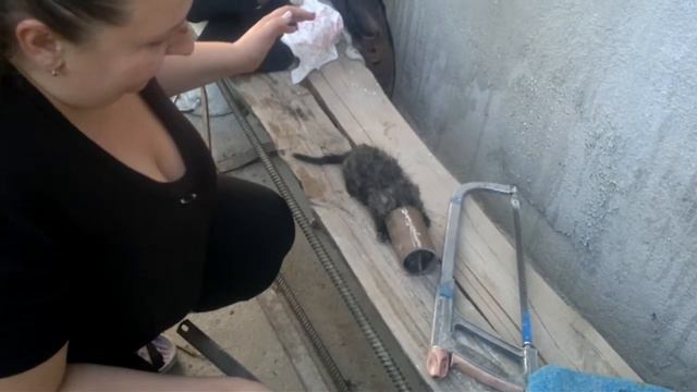 Киска попала смотреть онлайн