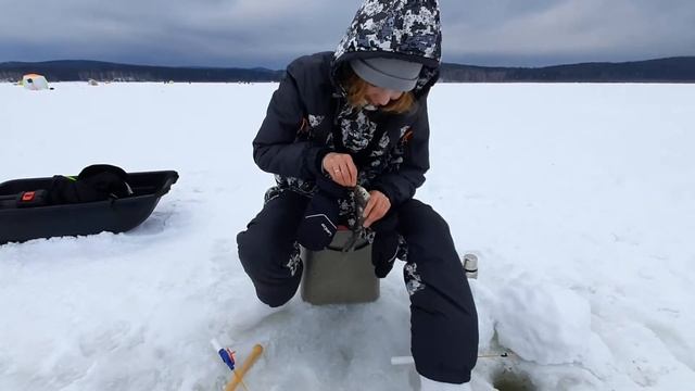 ЛОВЛЮ ПОДЛЕЩИКОВ. Исетское озеро, дикий ветер, кайфовая зимняя рыбалка. смотреть онлайн