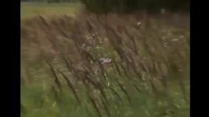 АгроЭкоСистемы