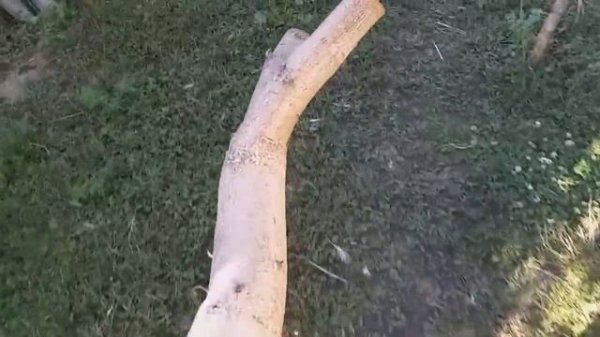 Rusty Old Hammer Perfect Restoration