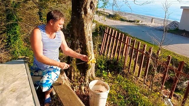 Абхазия время грибов сегодня 4 ноября 2021 смотреть онлайн