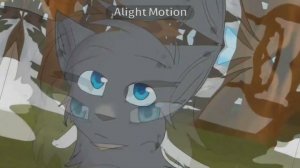 •Коты Воители• || Эти роли не для нас [Клип]