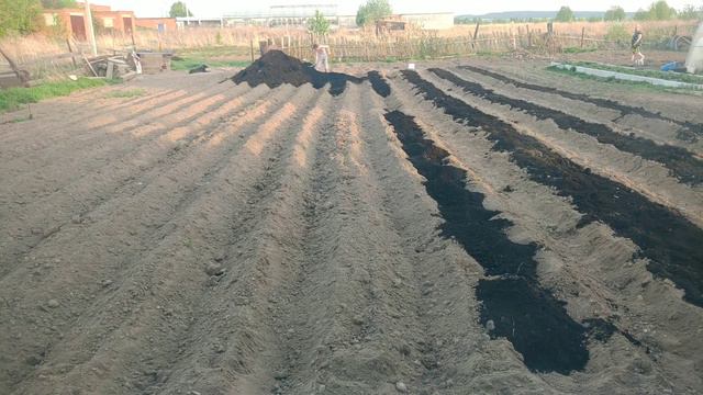 стрима нет, потому что я: смотреть онлайн