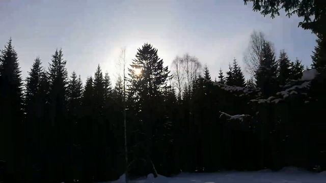 По лесам, полям и рекам... Yamaha VK540.Чумыш, Зори, Строитель, Медвежий Лог, Сростки, Костенково.