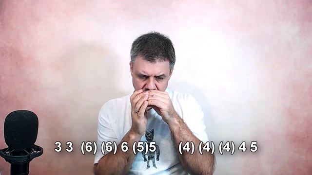 Вороны на губной гармошке