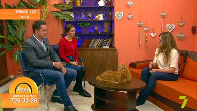 «Утро на 7». Лилия Юрченко смотреть онлайн