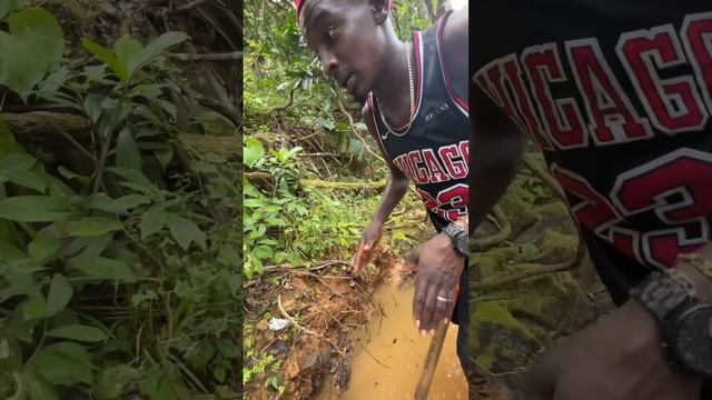 Доминикана / Шутки от Бонда Часть 2 / Dominican Channel ?? #доминикана #золото # #рустамборода смотреть онлайн