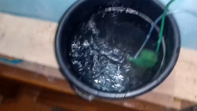 # живец# Простой способ сохранить живца до следующей рыбалки.