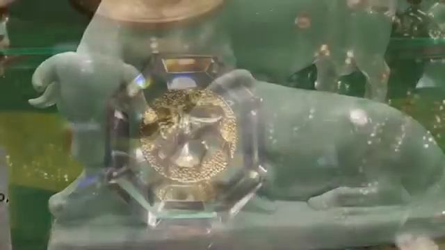 Пополнение выставочного зала смотреть онлайн