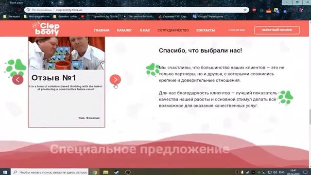 Дизайн сайта на платформе Тильда, по теме продуктов питания для домашних любимцев смотреть онлайн