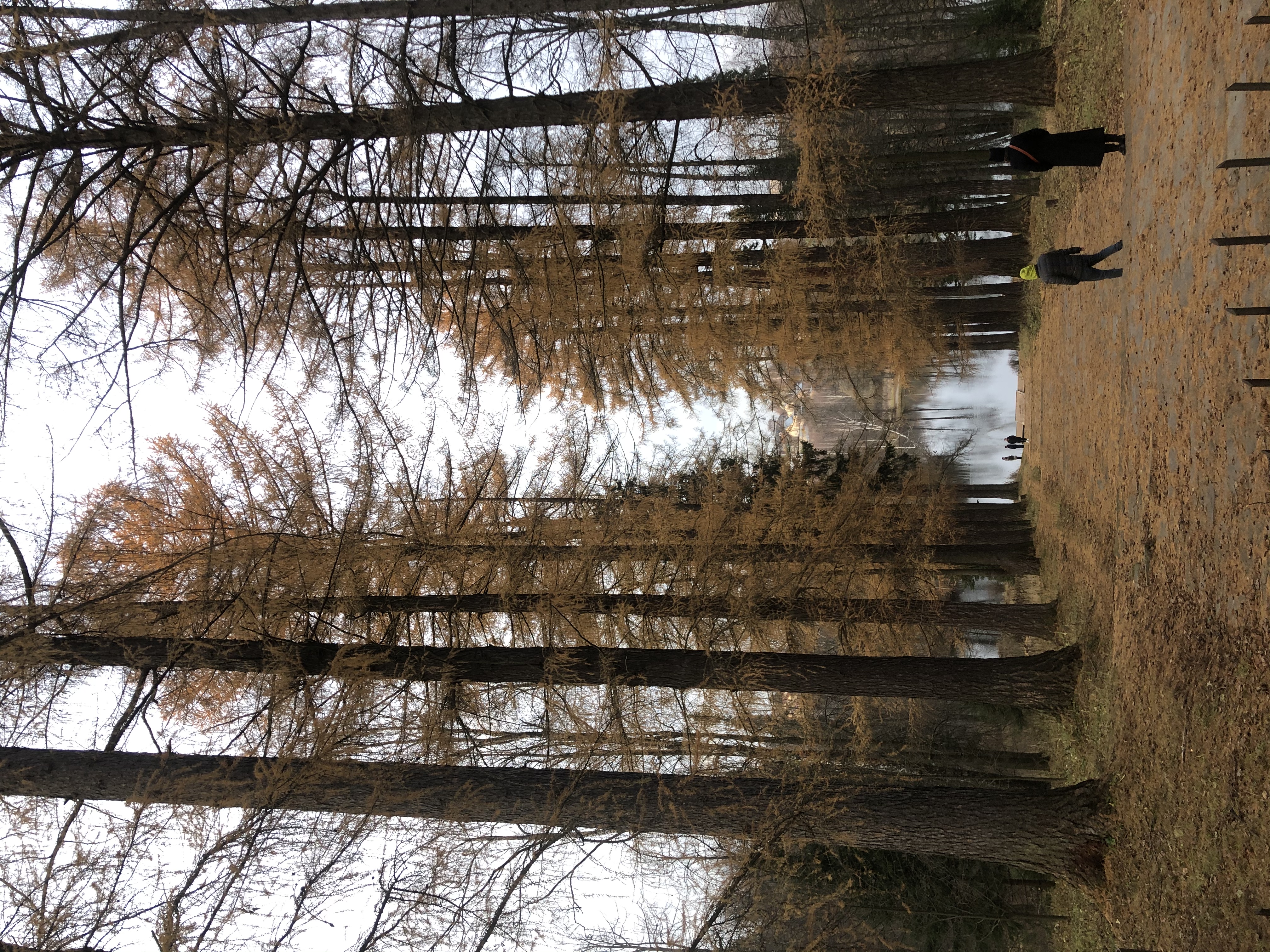 Усадьба Середниково. смотреть онлайн