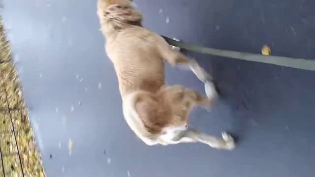 Временное имя Рыжий смотреть онлайн