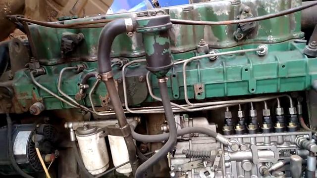 Домашний Рай