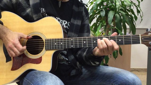 Taylor 214 смотреть онлайн